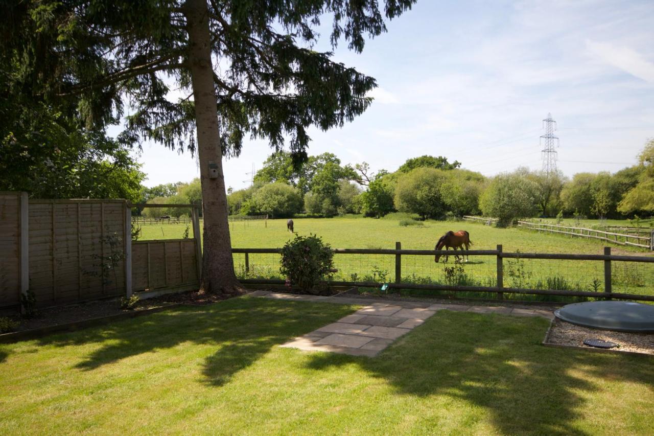 Avondale New Forest Godshill (Hampshire) Exterior foto